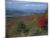 Trees in Fall Colours with Agricultural Land in the Background in Blue Ridge Parkway, Virginia, USA-James Green-Mounted Photographic Print