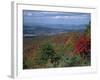 Trees in Fall Colours with Agricultural Land in the Background in Blue Ridge Parkway, Virginia, USA-James Green-Framed Photographic Print