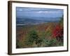 Trees in Fall Colours with Agricultural Land in the Background in Blue Ridge Parkway, Virginia, USA-James Green-Framed Photographic Print