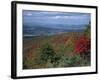 Trees in Fall Colours with Agricultural Land in the Background in Blue Ridge Parkway, Virginia, USA-James Green-Framed Photographic Print