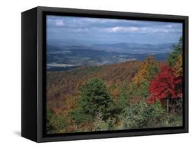 Trees in Fall Colours with Agricultural Land in the Background in Blue Ridge Parkway, Virginia, USA-James Green-Framed Stretched Canvas