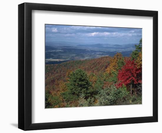 Trees in Fall Colours with Agricultural Land in the Background in Blue Ridge Parkway, Virginia, USA-James Green-Framed Photographic Print