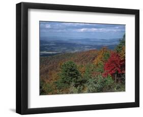 Trees in Fall Colours with Agricultural Land in the Background in Blue Ridge Parkway, Virginia, USA-James Green-Framed Photographic Print