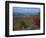 Trees in Fall Colours with Agricultural Land in the Background in Blue Ridge Parkway, Virginia, USA-James Green-Framed Photographic Print