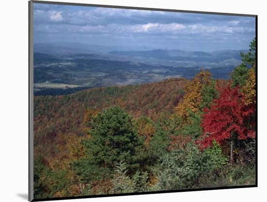 Trees in Fall Colours with Agricultural Land in the Background in Blue Ridge Parkway, Virginia, USA-James Green-Mounted Photographic Print