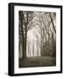 Trees in Fog I-Jody Stuart-Framed Photographic Print