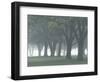 Trees in Fog, Louisville, Kentucky, USA-Adam Jones-Framed Photographic Print