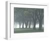 Trees in Fog, Louisville, Kentucky, USA-Adam Jones-Framed Photographic Print