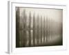 Trees in Fog V-Jody Stuart-Framed Photographic Print