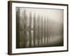 Trees in Fog V-Jody Stuart-Framed Photographic Print