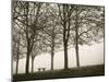 Trees in Fog VI-Jody Stuart-Mounted Photographic Print