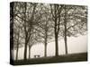 Trees in Fog VI-Jody Stuart-Stretched Canvas