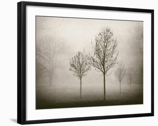 Trees in Fog VII-Jody Stuart-Framed Photographic Print