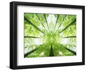 Trees in Forest Ascending-Robert Llewellyn-Framed Photographic Print