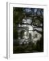 Trees in Front of a Mansion-null-Framed Photographic Print