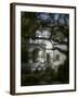 Trees in Front of a Mansion-null-Framed Photographic Print