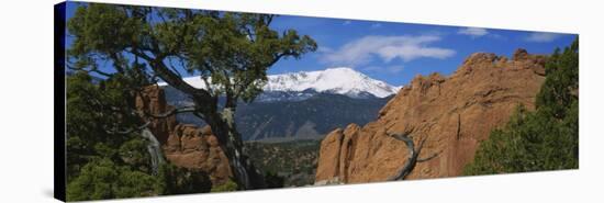 Trees in Front of a Rock Formation, Pikes Peak, Garden of the Gods, Colorado Springs, Colorado, USA-null-Stretched Canvas