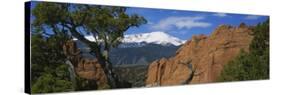 Trees in Front of a Rock Formation, Pikes Peak, Garden of the Gods, Colorado Springs, Colorado, USA-null-Stretched Canvas