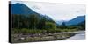 Trees in Front of Mountains in Quinault Rainforest, Olympic National Park, Washington State, USA-null-Stretched Canvas