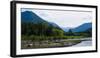 Trees in Front of Mountains in Quinault Rainforest, Olympic National Park, Washington State, USA-null-Framed Photographic Print