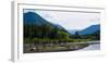 Trees in Front of Mountains in Quinault Rainforest, Olympic National Park, Washington State, USA-null-Framed Photographic Print