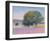 Trees in Provence-Gail Wells-Hess-Framed Art Print