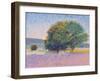 Trees in Provence-Gail Wells-Hess-Framed Art Print