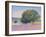 Trees in Provence-Gail Wells-Hess-Framed Art Print