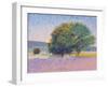 Trees in Provence-Gail Wells-Hess-Framed Art Print