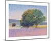 Trees in Provence-Gail Wells-Hess-Mounted Art Print