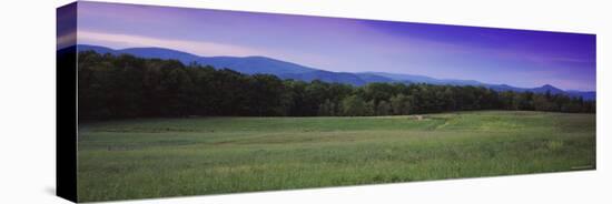 Trees in Rockbridge County, Shenandoah Valley, Virginia, USA-null-Stretched Canvas