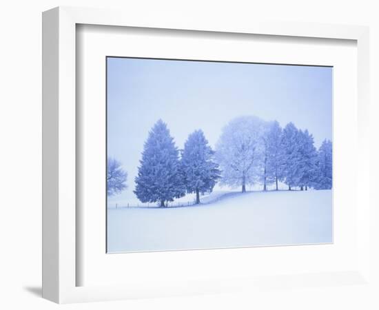 Trees in snow-covered landscape in winter-Herbert Kehrer-Framed Photographic Print