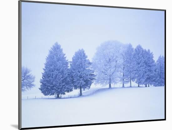 Trees in snow-covered landscape in winter-Herbert Kehrer-Mounted Photographic Print