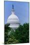 Trees in spring and U.S. Capitol Dome with Statue of Freedom statue overlooking Washington D.C.-null-Mounted Photographic Print