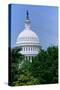 Trees in spring and U.S. Capitol Dome with Statue of Freedom statue overlooking Washington D.C.-null-Stretched Canvas