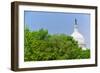 Trees in spring covers U.S. Capitol Dome in Washington D.C.-null-Framed Photographic Print