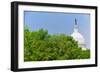 Trees in spring covers U.S. Capitol Dome in Washington D.C.-null-Framed Photographic Print