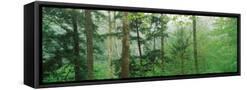 Canvas Black