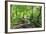 Trees in Spring Leaf Provide Canopy over Hiking Path with Puddle Reflections, Millers Dale-Eleanor Scriven-Framed Photographic Print