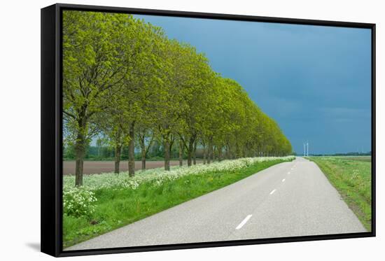 Trees in Spring under Dark Clouds-Jan Marijs-Framed Stretched Canvas