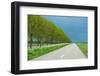 Trees in Spring under Dark Clouds-Jan Marijs-Framed Photographic Print