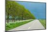 Trees in Spring under Dark Clouds-Jan Marijs-Mounted Photographic Print