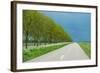 Trees in Spring under Dark Clouds-Jan Marijs-Framed Photographic Print