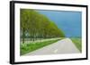 Trees in Spring under Dark Clouds-Jan Marijs-Framed Photographic Print