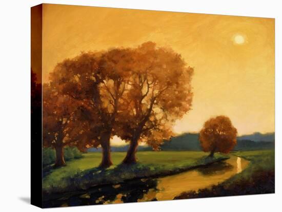 Trees in summer-Vincent McIndoe-Stretched Canvas