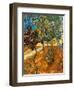 Trees in the Asylum Gardens, Arles, 1889-Vincent van Gogh-Framed Giclee Print