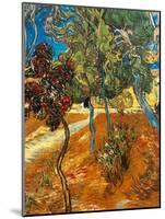 Trees in the Asylum Gardens, Arles, 1889-Vincent van Gogh-Mounted Giclee Print