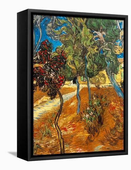 Trees in the Asylum Gardens, Arles, 1889-Vincent van Gogh-Framed Stretched Canvas