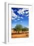 Trees in the Desert-tish1-Framed Photographic Print