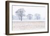 Trees in the field, Darlands Nature Reserve, Borough of Barnet, London, England-Nadia Isakova-Framed Photographic Print